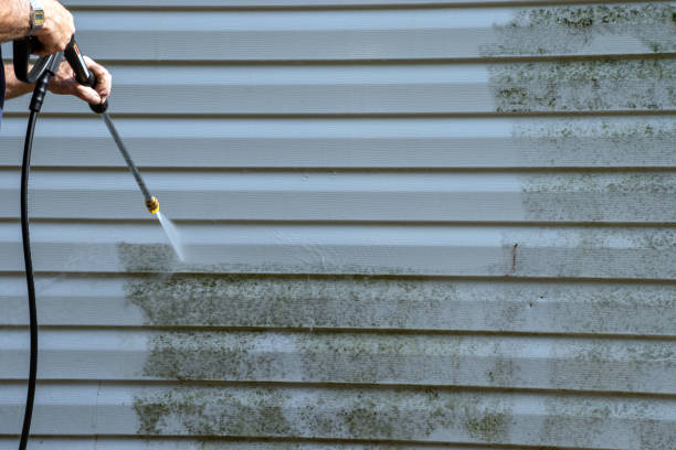 Same-Day Junk Removal Services in Horace, ND